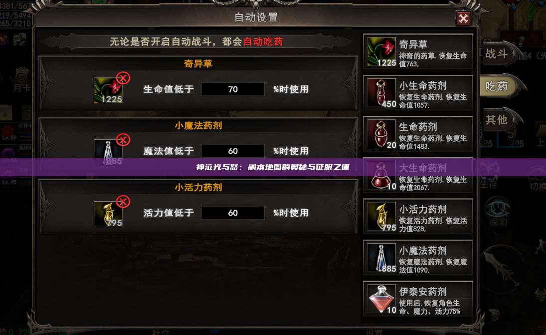 神泣纷争：副本地图的奥秘与征服之道