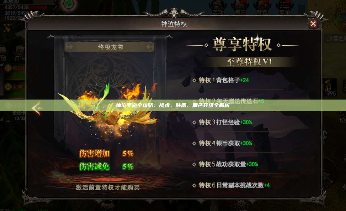 神泣纷争手游全攻略：战术、装备、角色升级全解析